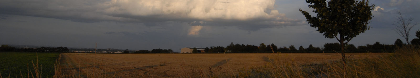 Dunkle Wolken über abgeerntetem Getreidefeld ©Feuerbach